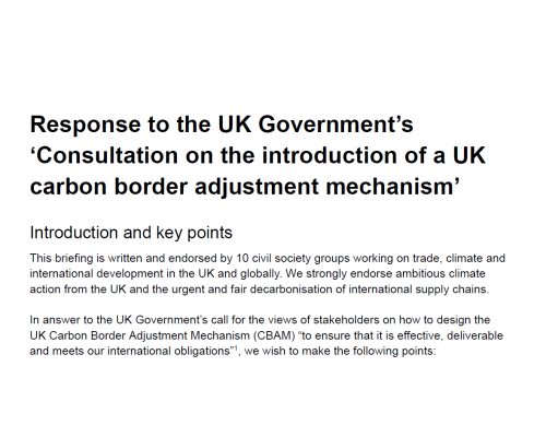 Response to the UK Government’s ‘Consultation on the introduction of a UK carbon border adjustment mechanism’