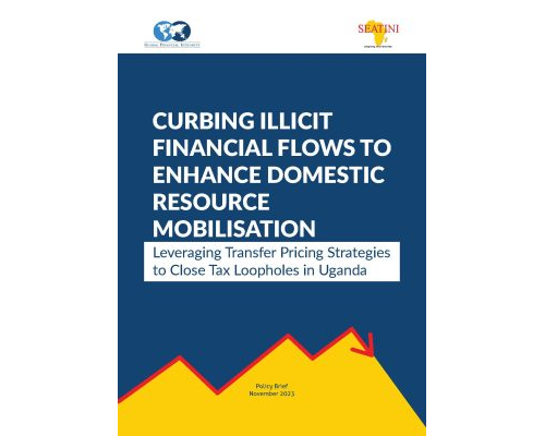 Curbing Illicit Financial Flows To Enhance Domestic Resource Mobilisation