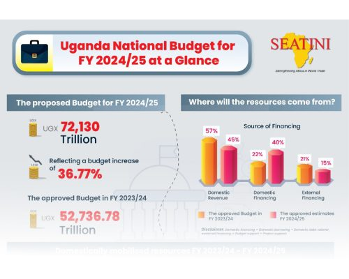 A GLANCE AT THE NATIONAL BUDGET FOR FY 2024/25