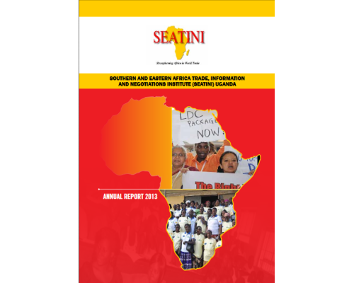 SEATINI ANNUAL REPORT 2013