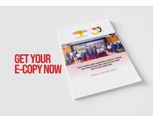 SEATINI ANNUAL REPORT FOR 2025