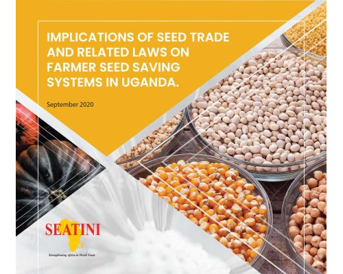 IMPLICATIONS OF SEED TRADE AND RELATED LAWS ON FARMER SEED SAVING SYSTEMS IN UGANDA