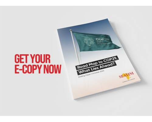 Briefing Paper on the Road Map to COP29, What Lies Ahead?