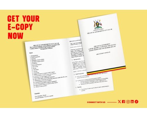 THE LOCAL GOVERNMENT ACT CAP.138(AMURU DISTRICT, GURUGURU SUB COUNTY)(MAIZE PRODUCERS AND TRADERS) BYLAW